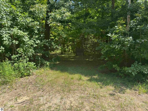 Tiny photo for 6700 NE Park Drive, Kalkaska, MI 49646 (MLS # 1948547)