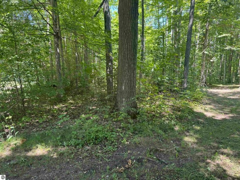 Tiny photo for 6700 NE Park Drive, Kalkaska, MI 49646 (MLS # 1948547)