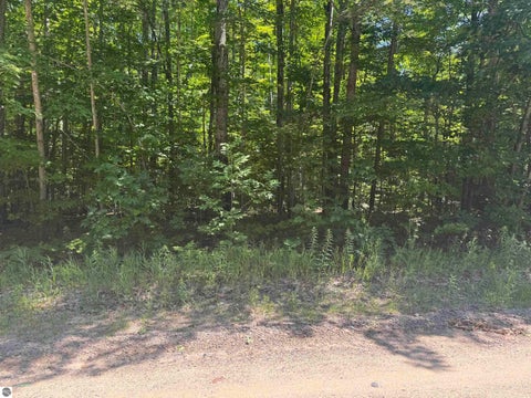 Tiny photo for 6700 NE Park Drive, Kalkaska, MI 49646 (MLS # 1948547)