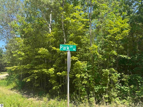Tiny photo for 6700 NE Park Drive, Kalkaska, MI 49646 (MLS # 1948547)