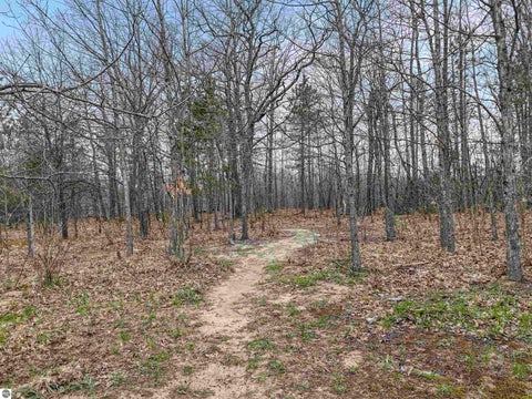 Tiny photo for 9562 E M-113, Fife Lake, MI 49633 (MLS # 1945077)
