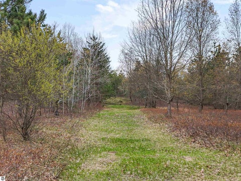 Tiny photo for 9562 E M-113, Fife Lake, MI 49633 (MLS # 1945077)