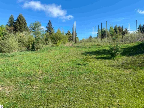 Tiny photo for 910 Rusch View Ridge, Traverse City, MI 49696 (MLS # 1948182)
