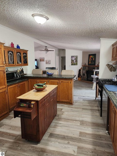 Tiny photo for 3560 Pine Tree Drive, Weidman, MI 48893 (MLS # 1949643)