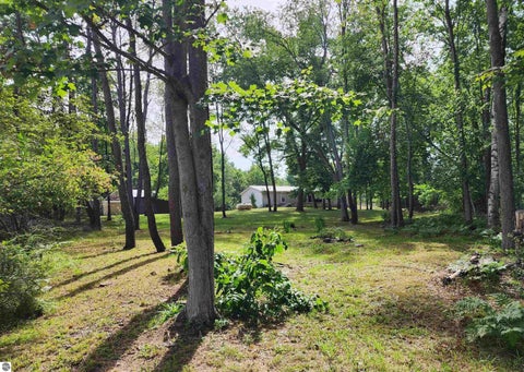 Tiny photo for 3560 Pine Tree Drive, Weidman, MI 48893 (MLS # 1949643)