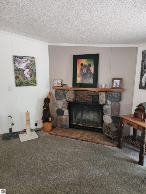 Tiny photo for 3560 Pine Tree Drive, Weidman, MI 48893 (MLS # 1949643)