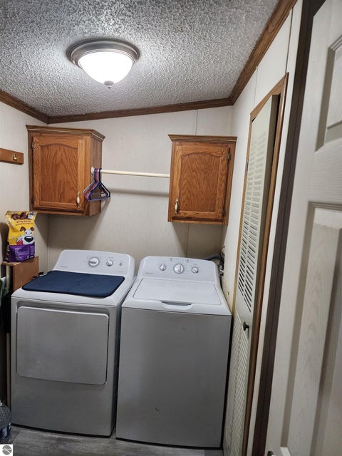 Tiny photo for 3560 Pine Tree Drive, Weidman, MI 48893 (MLS # 1949643)