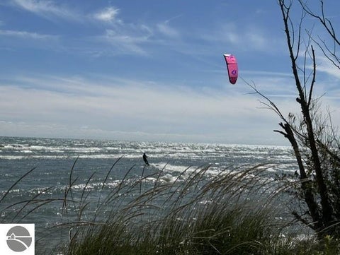 Tiny photo for 911 W Lake Street #4, Tawas City, MI 48763 (MLS # 1951475)