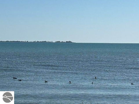 Tiny photo for 911 W Lake Street #4, Tawas City, MI 48763 (MLS # 1951475)