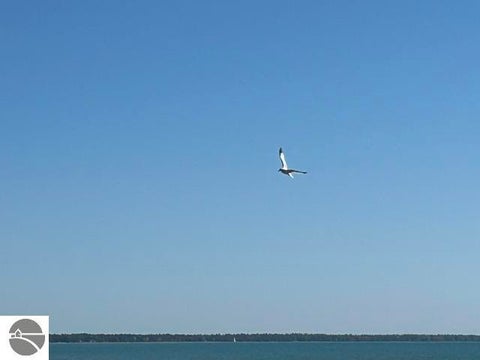 Tiny photo for 911 W Lake Street #4, Tawas City, MI 48763 (MLS # 1951475)
