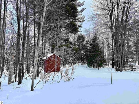 Tiny photo for 6547 Birch Lake Road, Kewadin, MI 49648 (MLS # 1941856)