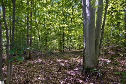 Tiny photo for 2835 Krol Drive, Kalkaska, MI 49646 (MLS # 1947758)