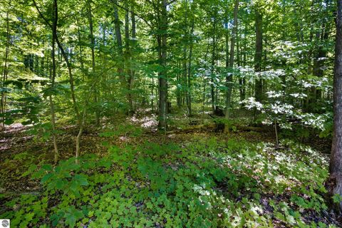 Tiny photo for 2835 Krol Drive, Kalkaska, MI 49646 (MLS # 1947758)