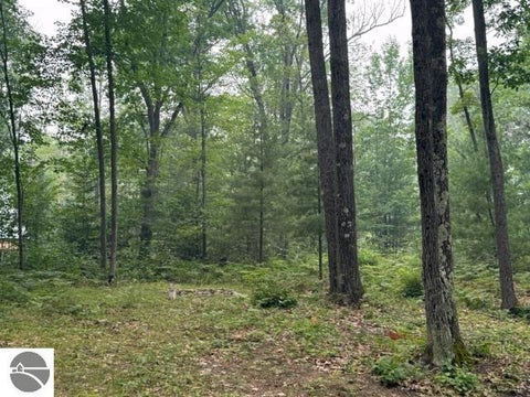 Tiny photo for 7808 Pautesa Drive, Roscommon, MI 48653 (MLS # 1951375)