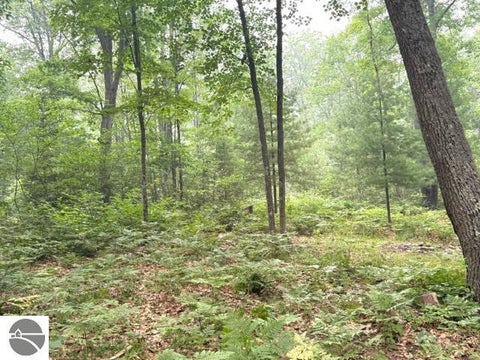 Tiny photo for 7808 Pautesa Drive, Roscommon, MI 48653 (MLS # 1951375)
