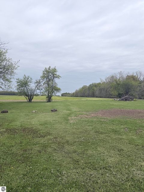 Tiny photo for 965 E Remus Road, Mt Pleasant, MI 48858 (MLS # 1945364)