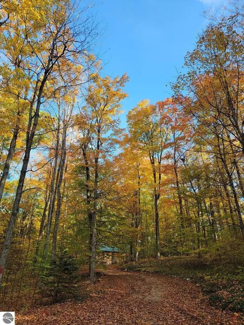 Tiny photo for 16568 Wagner Road, Lake Ann, MI 49650 (MLS # 1947392)