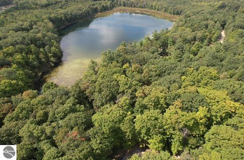 Tiny photo for 16568 Wagner Road, Lake Ann, MI 49650 (MLS # 1947392)