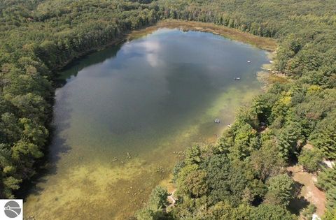 Tiny photo for 16568 Wagner Road, Lake Ann, MI 49650 (MLS # 1947392)