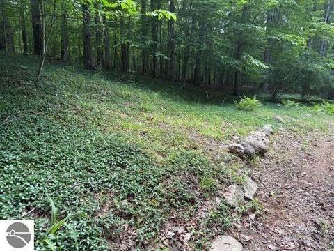 Tiny photo for 16568 Wagner Road, Lake Ann, MI 49650 (MLS # 1947392)