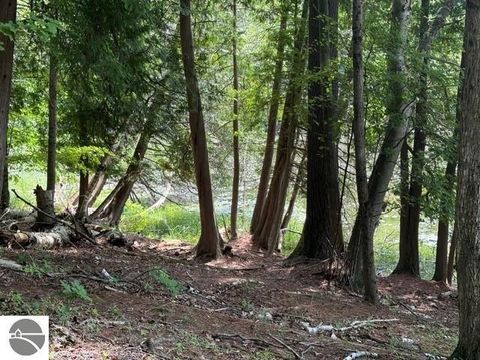 Tiny photo for 16568 Wagner Road, Lake Ann, MI 49650 (MLS # 1947392)