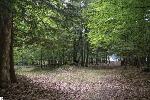 Tiny photo for 16568 Wagner Road, Lake Ann, MI 49650 (MLS # 1947392)