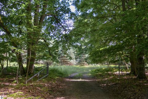 Tiny photo for 16568 Wagner Road, Lake Ann, MI 49650 (MLS # 1947392)