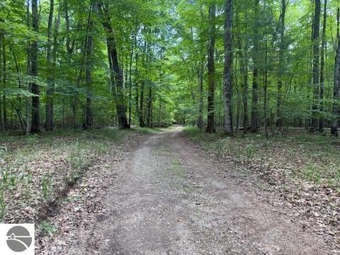 Tiny photo for 16568 Wagner Road, Lake Ann, MI 49650 (MLS # 1947392)