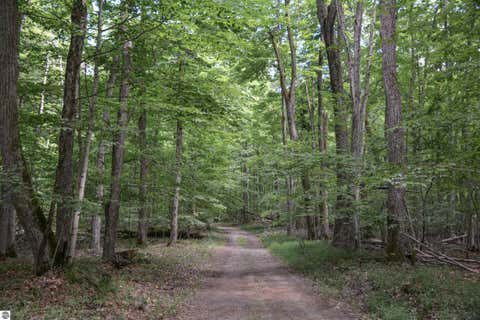 Tiny photo for 16568 Wagner Road, Lake Ann, MI 49650 (MLS # 1947392)