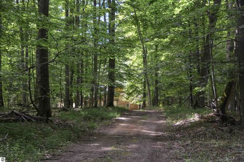 Tiny photo for 16568 Wagner Road, Lake Ann, MI 49650 (MLS # 1947392)