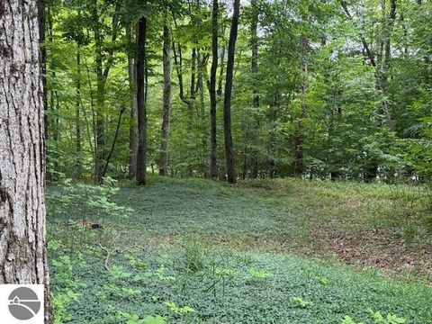 Tiny photo for 16568 Wagner Road, Lake Ann, MI 49650 (MLS # 1947392)