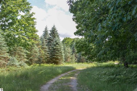Tiny photo for 16568 Wagner Road, Lake Ann, MI 49650 (MLS # 1947392)