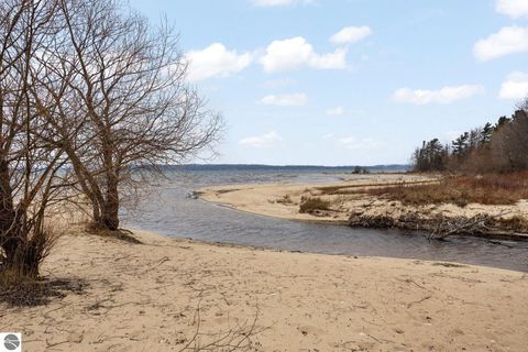 Tiny photo for 5663 Creeks Crossing, Williamsburg, MI 49690 (MLS # 1945768)