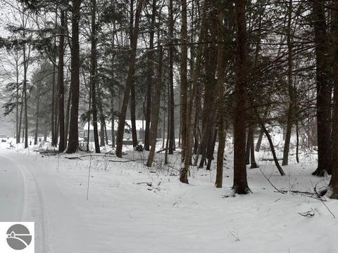 Tiny photo for 7102 S M-88, Bellaire, MI 49615 (MLS # 1941839)