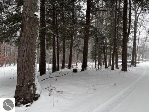 Tiny photo for 7102 S M-88, Bellaire, MI 49615 (MLS # 1941839)