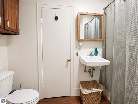 Tiny photo for 211 E Palmer Street, Mt Pleasant, MI 48858 (MLS # 1947014)