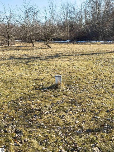 Tiny photo for 5510 E Remus Road, Mt Pleasant, MI 48858 (MLS # 1942511)