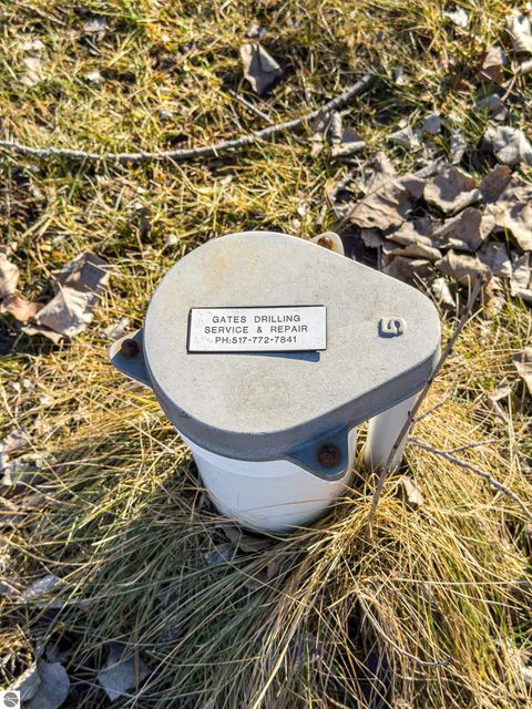 Tiny photo for 5510 E Remus Road, Mt Pleasant, MI 48858 (MLS # 1942511)