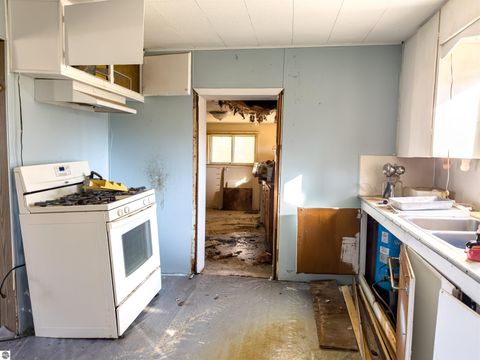 Tiny photo for 5510 E Remus Road, Mt Pleasant, MI 48858 (MLS # 1942511)