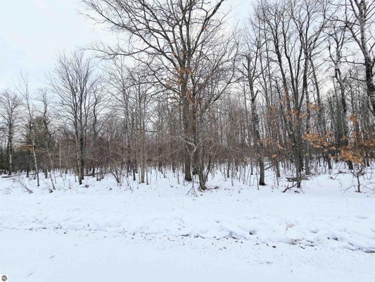FAIRWAY CT, GRAYLING, MI 49738 - Image f035a5b32900709eec3d99a72a349e7e/1832955336