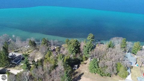 Tiny photo for 3037 Willow Street, Central Lake, MI 49622 (MLS # 1944131)