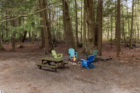 Tiny photo for 3513 River Road, Frankfort, MI 49635 (MLS # 1945116)