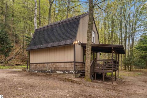 Tiny photo for 3513 River Road, Frankfort, MI 49635 (MLS # 1945116)