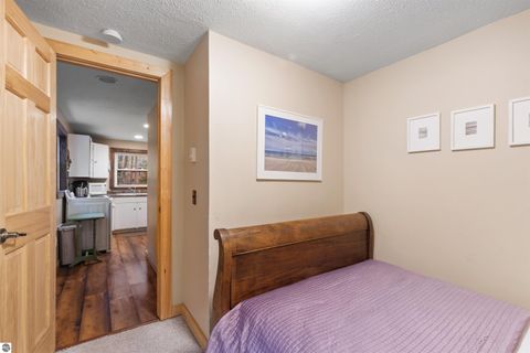 Tiny photo for 3513 River Road, Frankfort, MI 49635 (MLS # 1945116)