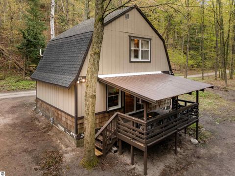 Tiny photo for 3513 River Road, Frankfort, MI 49635 (MLS # 1945116)