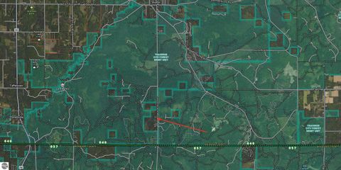 Tiny photo for 13260 S Sharon Road, SE, Fife Lake, MI 49633 (MLS # 1943831)