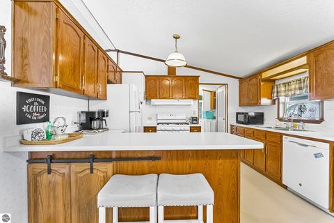 Tiny photo for 712 Pheasant Boulevard, Cadillac, MI 49601 (MLS # 1943930)