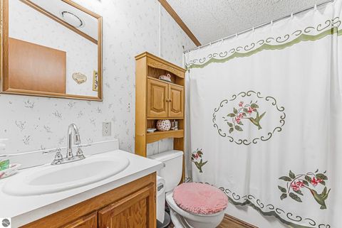 Tiny photo for 712 Pheasant Boulevard, Cadillac, MI 49601 (MLS # 1943930)