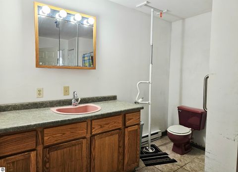 Tiny photo for 90 Flanders Road, Charlotte, MI 48813 (MLS # 1942162)