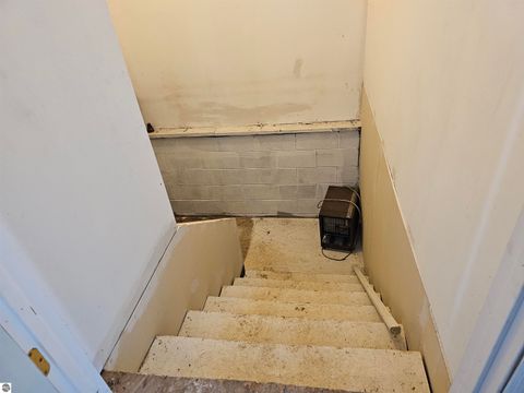 Tiny photo for 90 Flanders Road, Charlotte, MI 48813 (MLS # 1942162)